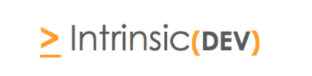 Intrinsic(DEV) Logo