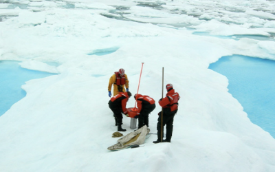 Iridium’s Unique Role in the Polar Regions